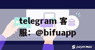 Bropay：菲律宾稳定支付通道，提供全天候客服支持