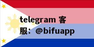 菲律宾第三方支付平台：GCash与PayMaya通道稳定运营